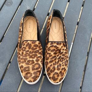 Birdies The Starling Calf Hair Slip On Sneaker